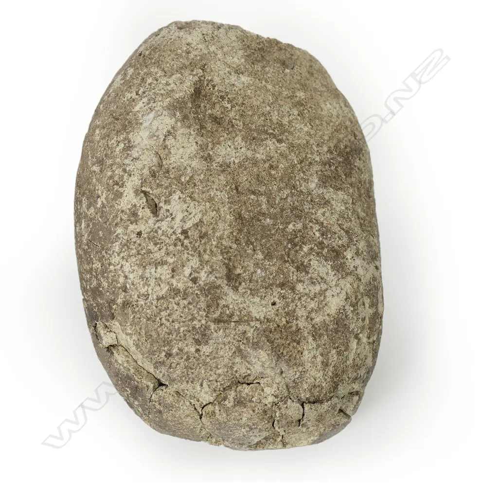 Vanuatu carved sandstone head, Image 1++